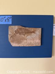 MaxSold Auction: Fish Fossil Mounted on Painted Wood Board - Los Angeles (California, USA) PARTNER MANAGED Downsizing Online Auction - Sapphire Drive