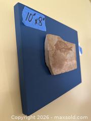 MaxSold Auction: Fish Fossil Mounted on Painted Wood Board - Los Angeles (California, USA) PARTNER MANAGED Downsizing Online Auction - Sapphire Drive