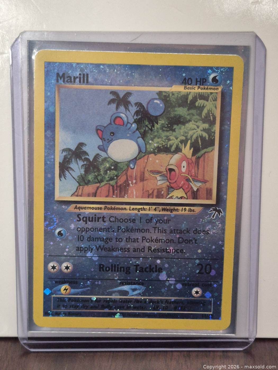 pokemon marill card - (74/123) If tails The Cards Of Pokmon TCG: