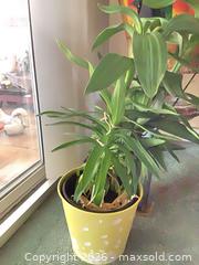 MaxSold Auction: Hand-Painted Ceramic Planters with Metal Stand and Plants (2) - Carson (California, USA) PARTNER MANAGED Estate Sale Online Auction -  South Perry Street