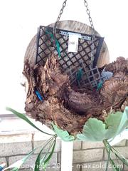 MaxSold Auction: Staghorn (Platycerium) Mounted Live Plant, 23 x 40" - Carson (California, USA) PARTNER MANAGED Estate Sale Online Auction -  South Perry Street