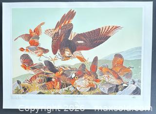 MaxSold Auction: Audubon Birds of America collection “Bob White and Red Shoulder Hawk” 19.5 x 27 inches    - Otonabee-South Monaghan (Ontario, Canada) PARTNER MANAGED Reseller Online Auction - Dougall Drive