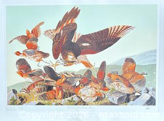 MaxSold Auction: Audubon Birds of America collection “Bob White and Red Shoulder Hawk” 19.5 x 27 inches    - Otonabee-South Monaghan (Ontario, Canada) PARTNER MANAGED Reseller Online Auction - Dougall Drive