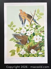 MaxSold Auction: Audubon Birds of America collection “Morning Dove” 19.5 x 27 inches  Amazing colours! - Otonabee-South Monaghan (Ontario, Canada) PARTNER MANAGED Reseller Online Auction - Dougall Drive