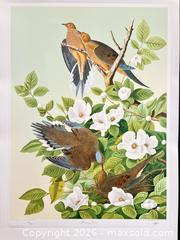 MaxSold Auction: Audubon Birds of America collection “Morning Dove” 19.5 x 27 inches  Amazing colours! - Otonabee-South Monaghan (Ontario, Canada) PARTNER MANAGED Reseller Online Auction - Dougall Drive