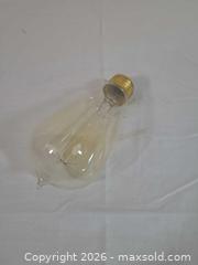 MaxSold Auction: 16 Edison ST64 Vintage Teardrop 60W 120V E26 Amber Bulbs - Brantford (Ontario, Canada) SELLER MANAGED Downsizing Online Auction - Kitchener Avenue