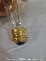 MaxSold Auction: 16 Edison ST64 Vintage Teardrop 60W 120V E26 Amber Bulbs - Brantford (Ontario, Canada) SELLER MANAGED Downsizing Online Auction - Kitchener Avenue