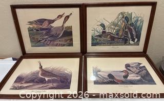 MaxSold Auction: Four Framed Vintage Audubon Duck Prints - San Jose (California, USA) SELLER MANAGED Downsizing Online Auction - Elm Street (CONDO)