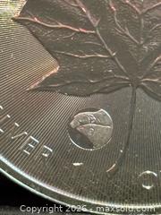 MaxSold Auction: 2025 Canada 1oz , Pure Silver Bullion Coin , Special Privy Mark - Aurora (Ontario, Canada) SELLER MANAGED Estate Sale Online Auction -  Closs Square