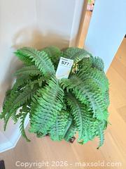 MaxSold Auction: Faux Plant and Stand A - London (Ontario, Canada) PARTNER MANAGED Moving Online Auction - Marlene Stewart Place