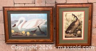 MaxSold Auction: Audubon Lithographs, Swan, Goose, and Cowpen Bird - Douglas (Massachusetts, USA) PARTNER MANAGED Estate Sale Online Auction - South West Main Street