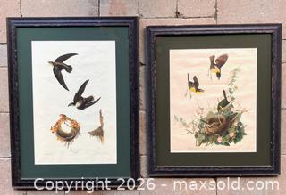MaxSold Auction: Audubon Swifts and Yellow-breasted Chats Lithographs - Douglas (Massachusetts, USA) PARTNER MANAGED Estate Sale Online Auction - South West Main Street