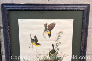 MaxSold Auction: Audubon Swifts and Yellow-breasted Chats Lithographs - Douglas (Massachusetts, USA) PARTNER MANAGED Estate Sale Online Auction - South West Main Street