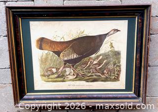 MaxSold Auction: Audubon Wild Turkey Lithograph - Douglas (Massachusetts, USA) PARTNER MANAGED Estate Sale Online Auction - South West Main Street
