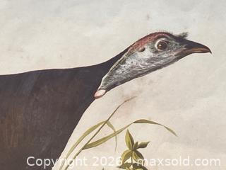 MaxSold Auction: Audubon Wild Turkey Lithograph - Douglas (Massachusetts, USA) PARTNER MANAGED Estate Sale Online Auction - South West Main Street