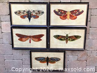 MaxSold Auction: Quintet of Moth Prints - Douglas (Massachusetts, USA) PARTNER MANAGED Estate Sale Online Auction - South West Main Street