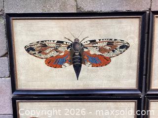 MaxSold Auction: Quintet of Moth Prints - Douglas (Massachusetts, USA) PARTNER MANAGED Estate Sale Online Auction - South West Main Street