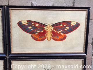 MaxSold Auction: Quintet of Moth Prints - Douglas (Massachusetts, USA) PARTNER MANAGED Estate Sale Online Auction - South West Main Street