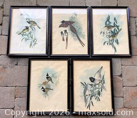MaxSold Auction: Set of Five Vintage Bird Prints, Two from J. Gould - Douglas (Massachusetts, USA) PARTNER MANAGED Estate Sale Online Auction - South West Main Street