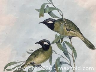MaxSold Auction: Set of Five Vintage Bird Prints, Two from J. Gould - Douglas (Massachusetts, USA) PARTNER MANAGED Estate Sale Online Auction - South West Main Street