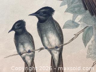 MaxSold Auction: Set of Five Vintage Bird Prints, Two from J. Gould - Douglas (Massachusetts, USA) PARTNER MANAGED Estate Sale Online Auction - South West Main Street