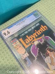 MaxSold Auction: Labyrinth 1 CGC 9.6 - Elgin (Ontario, Canada) SELLER MANAGED Downsizing Online Auction - Main Street