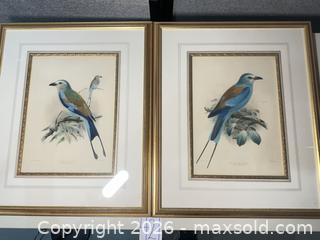 MaxSold Auction: Pair of Framed Keulemans (attributed) Hand-Colored Lithographs - Warwick (Rhode Island, USA) SELLER MANAGED Reseller Online Auction - Warwick Avenue