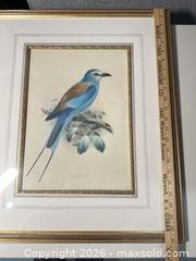 MaxSold Auction: Pair of Framed Keulemans (attributed) Hand-Colored Lithographs - Warwick (Rhode Island, USA) SELLER MANAGED Reseller Online Auction - Warwick Avenue