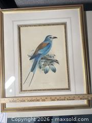 MaxSold Auction: Pair of Framed Keulemans (attributed) Hand-Colored Lithographs - Warwick (Rhode Island, USA) SELLER MANAGED Reseller Online Auction - Warwick Avenue