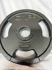 MaxSold Auction: CAP Cast Iron 25 lb Weight Plates, 6 Plates, 1" Center Hole - Toronto (Ontario, Canada) SELLER MANAGED Moving Online Auction - Howard Park Avenue