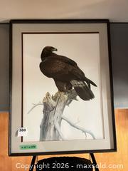 MaxSold Auction: Signed Eagle Wildlife Print 32/210 in Wood Frame - West Vancouver (British Columbia, Canada) SELLER MANAGED Downsizing Online Auction - 17th Street (CONDO)