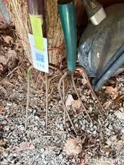 MaxSold Auction: Set of 2 Pitchforks / Garden Forks with Wood & Metal Handles - Elizabethtown-Kitley (Ontario, Canada) PARTNER MANAGED Estate Sale Online Auction - Rocksprings Road