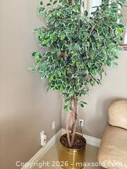 MaxSold Auction: 5-6 ft Variegated Ficus Artificial Tree with Gold Planter - Kitchener (Ontario, Canada) SELLER MANAGED Downsizing Online Auction - Templeton Drive