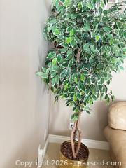 MaxSold Auction: 5-6 ft Variegated Ficus Artificial Tree with Gold Planter - Kitchener (Ontario, Canada) SELLER MANAGED Downsizing Online Auction - Templeton Drive