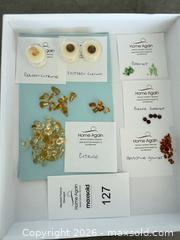 MaxSold Auction: Mixed Loose Faceted Gemstones — Citrine, Garnet, Amethyst - Langford (British Columbia, Canada) PARTNER MANAGED Estate Sale Online Auction - Leigh Road