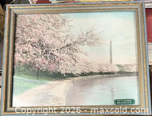 MaxSold Auction: Cherry Blossoms - vintage hand colored photo by Royal Carlock - Bremerton (Washington, USA) SELLER MANAGED Estate Sale Online Auction - Burwell Street