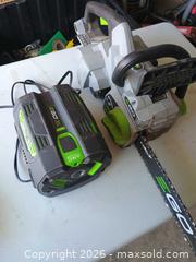 MaxSold Auction: Ego chainsaw spare and new chain was installed - Centre Hastings (Ontario, Canada) SELLER MANAGED Downsizing Online Auction -  Highway 62