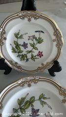 MaxSold Auction: Spode Tachiadenus Floral Gilded Salad/Dessert Plates, Set of 12 - Toronto (Ontario, Canada) PARTNER MANAGED Estate Sale Online Auction - Yorkville Avenue (CONDO) PART 2