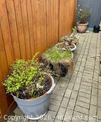 MaxSold Auction: 5 Garden Planters - Welland (Ontario, Canada) SELLER MANAGED Estate Sale Online Auction - East Main Street