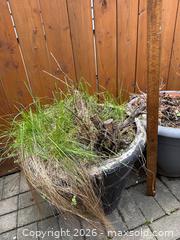 MaxSold Auction: 5 Garden Planters - Welland (Ontario, Canada) SELLER MANAGED Estate Sale Online Auction - East Main Street