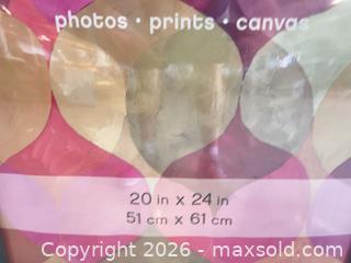 MaxSold Auction: Set of 4 Framed Stretched Canvas Prints, 20 x 24 in, Abstract - North Las Vegas (Nevada, USA) SELLER MANAGED Reseller Online Auction -  Rockpebble Avenue