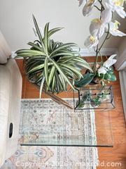 MaxSold Auction: Clear Glass Rectangular Coffee Table, Modern/Contemporary (plants and fish not included) - Dysart and Others (Ontario, Canada) SELLER MANAGED Downsizing Online Auction - Webb Circle