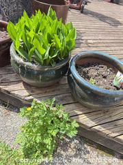 MaxSold Auction: Ceramic Glazed Planters  - Surrey (British Columbia, Canada) Estate Sale Online Auction - 88 Avenue