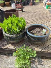 MaxSold Auction: Ceramic Glazed Planters  - Surrey (British Columbia, Canada) Estate Sale Online Auction - 88 Avenue
