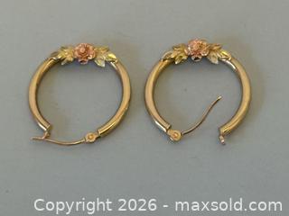 MaxSold Auction: (2) Pair 10K GOLD Earrings-Marked - Toronto (Ontario, Canada) SELLER MANAGED Reseller Online Auction - Chesswood Drive