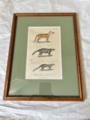 MaxSold Auction: Framed Vintage-Style Wildlife Print in Gilt Wood Frame - Milton (Ontario, Canada) SELLER MANAGED Downsizing Online Auction - Irving Terrace