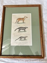 MaxSold Auction: Framed Vintage-Style Wildlife Print in Gilt Wood Frame - Milton (Ontario, Canada) SELLER MANAGED Downsizing Online Auction - Irving Terrace