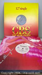 MaxSold Auction: Collection of 40 various records view all pictures  - Toronto (Ontario, Canada) SELLER MANAGED Reseller Online Auction - Dartmoor Drive