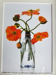 MaxSold Auction: Ted Morrison Botanical Framed Photograph, White Frame, Portrait - Chatham (New Jersey, USA) PARTNER MANAGED Estate Sale Online Auction - River Road
