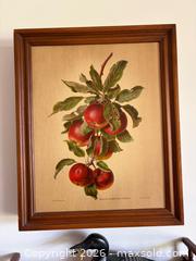 MaxSold Auction: Vintage 1970s Wall-Mounted Spice Rack with Glass Jars & Framed Print - Brantford (Ontario, Canada) PARTNER MANAGED Estate Sale Online Auction - Marshall Street